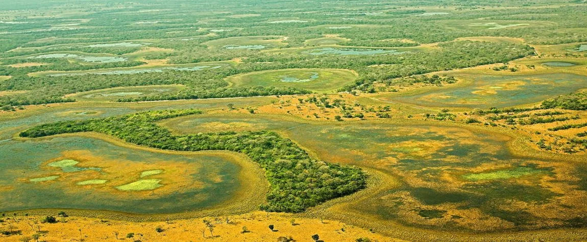 Pantanal Wetlands