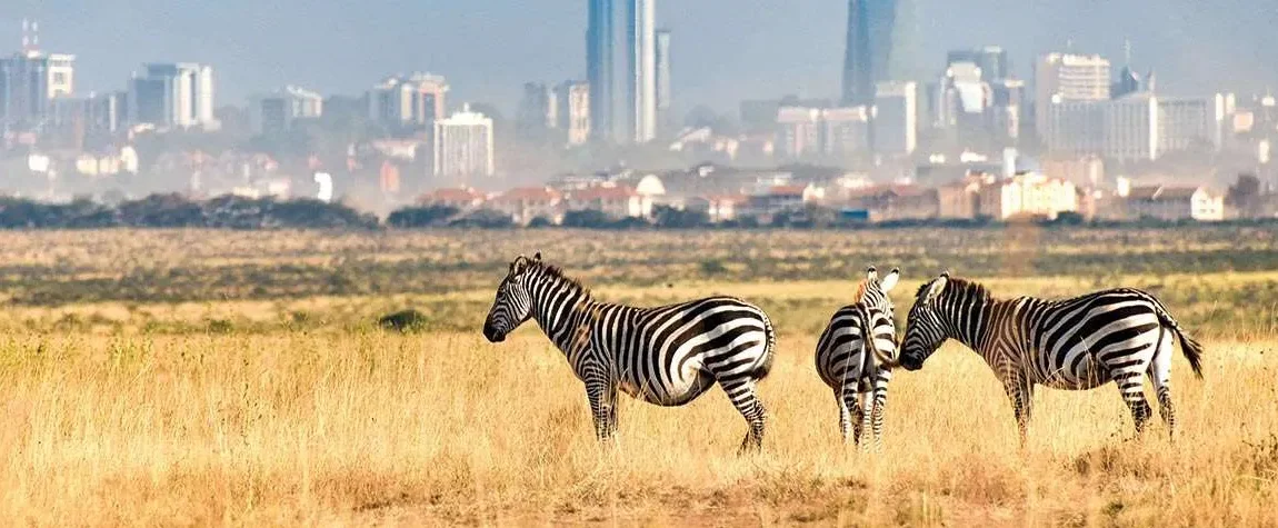 Nairobi National Park