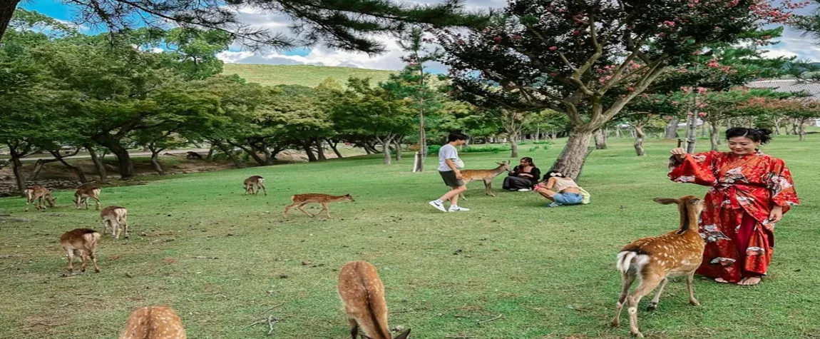 Nara: Home to Friendly Deer