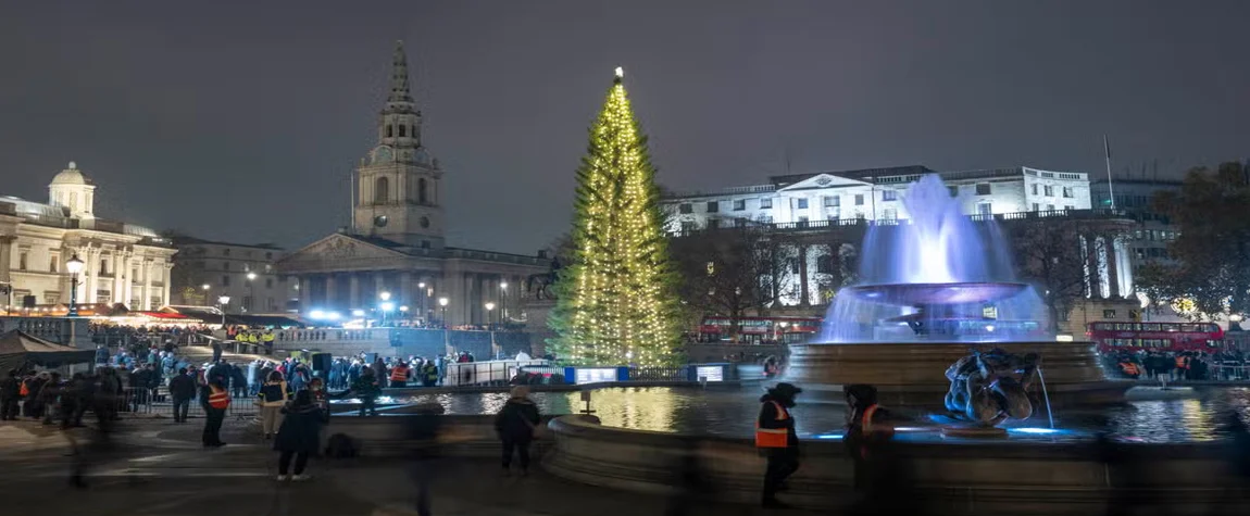 The Christmas Tree at Trafalgar Square