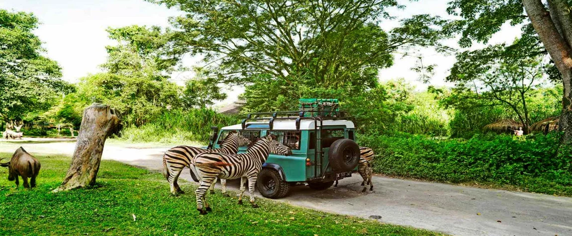 Bali Safari and Marine Park