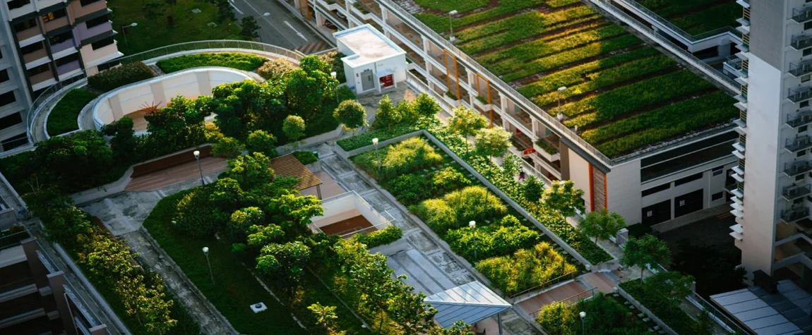 8. Rooftop Farms