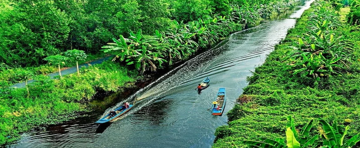 Delta of Mekong