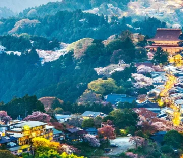 Must-See Places to Visit in Japan