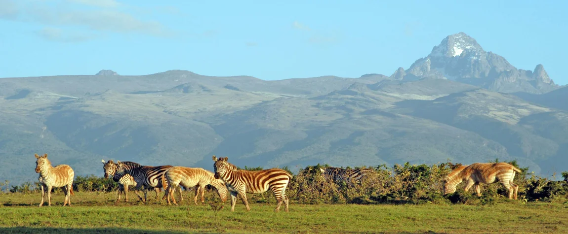 Mount Kenya National Park