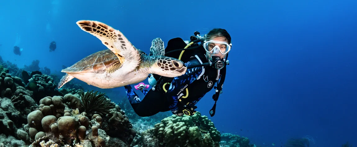 Snorkeling at Fujairah’s Coral Reefs