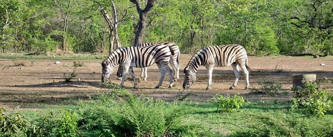 Natural Wonders of Nigeria