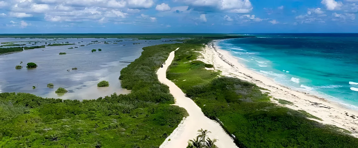 Cozumel: Let’s go Under the Sea