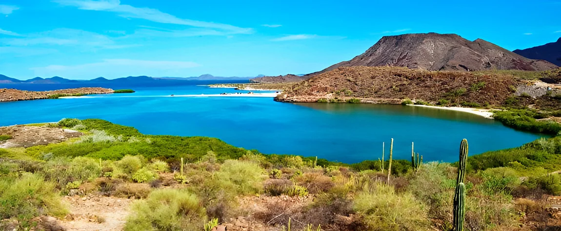 Baja California: Desert Meets Ocean