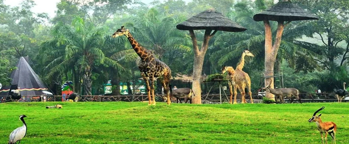 Khao Kheow Open Zoo