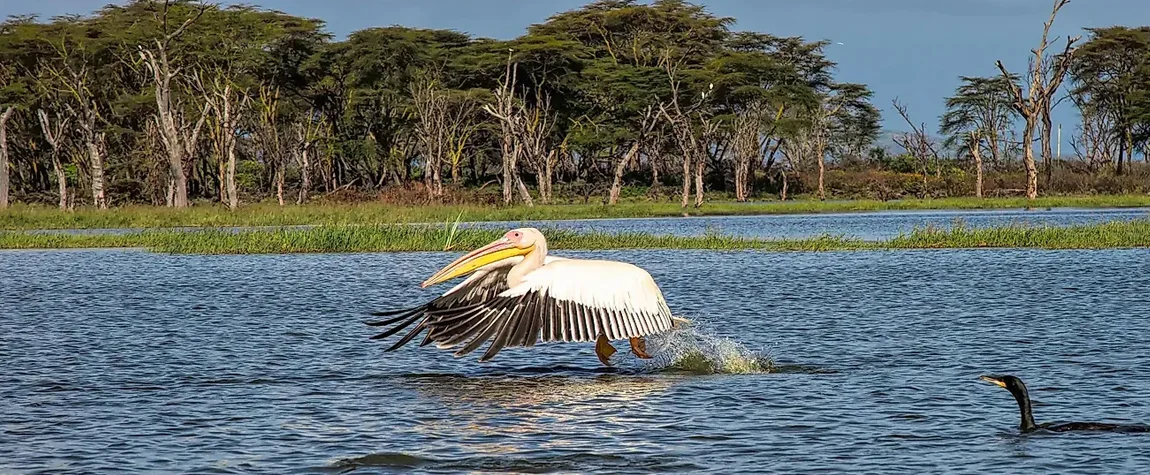 Lake Naivasha