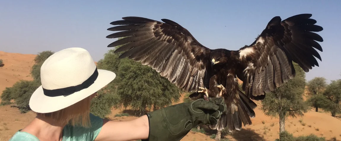 9. Falconry Experiences