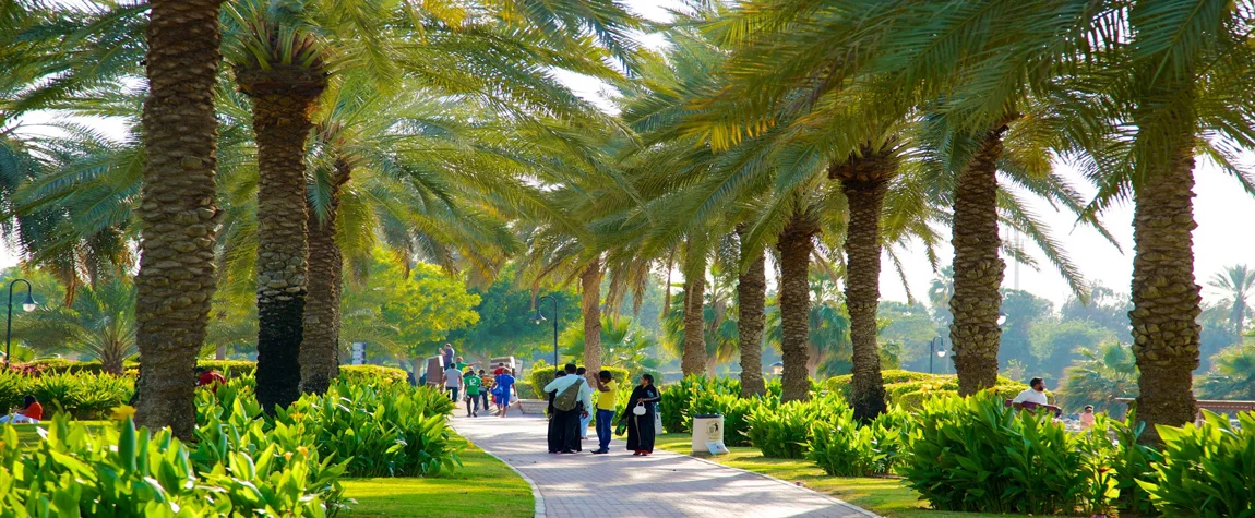  Pet-Friendly Parks in Dubai