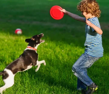 Pet-Friendly Parks in Dubai