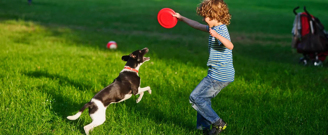  Pet-Friendly Parks in Dubai