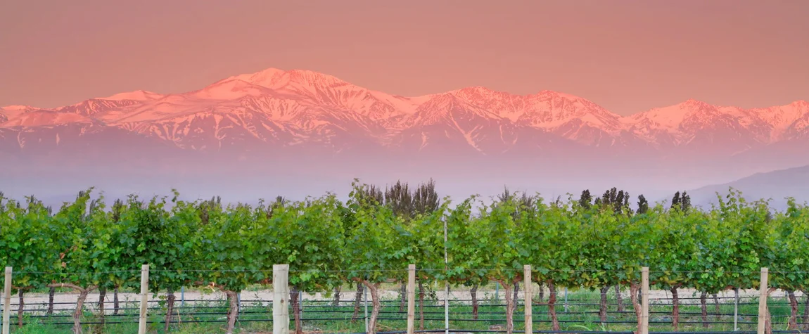 Tourism for Argentina’s Wine Regions