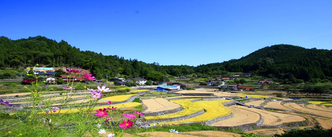 15. Niwano-en Garden, Japan