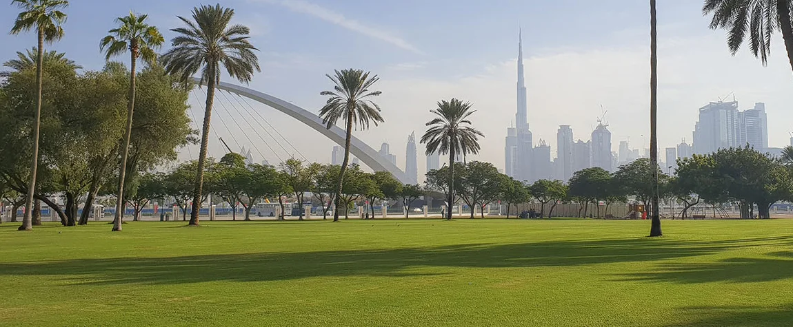 2. Spend Your Morning at Dubai’s Parks