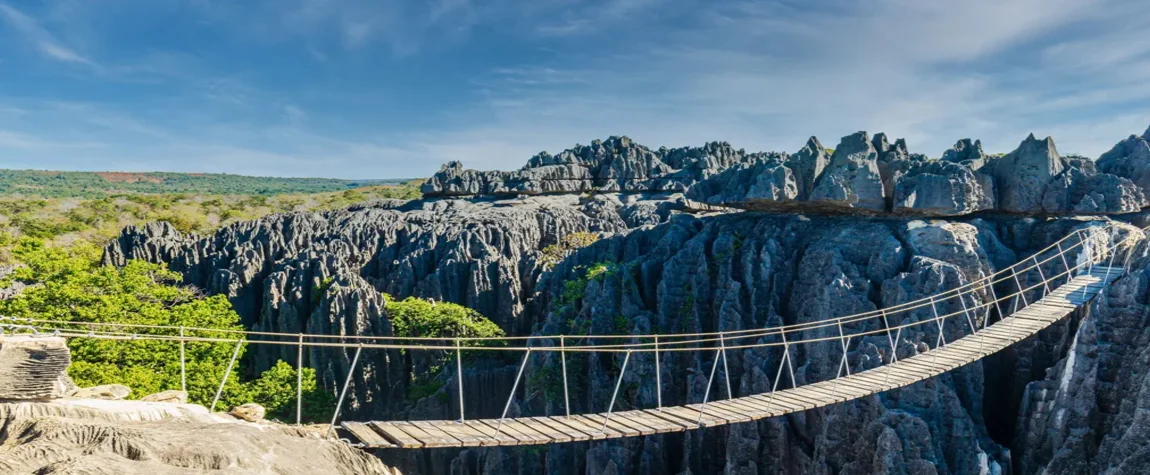 Learn about the Tsingy de Bemaraha National Park