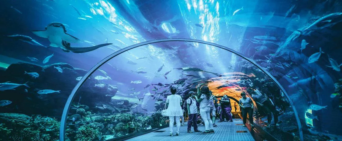 3. Sharjah Aquarium