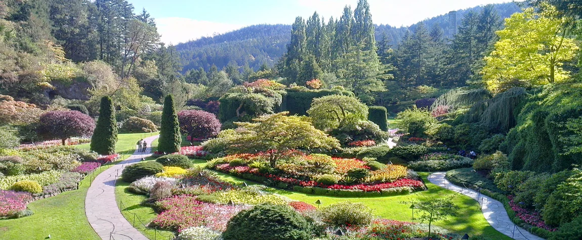 Winter Gardens to Visit from Dubai