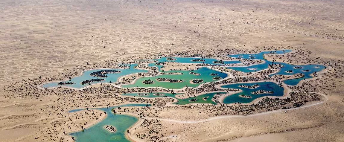 8. Al Qudra Lake