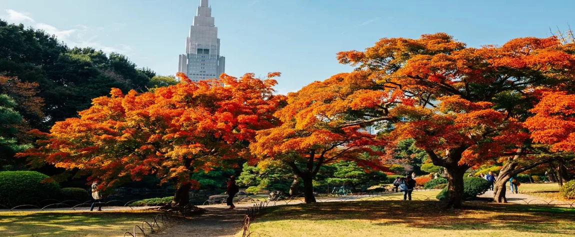 8. Shinjuku Gyoen, Japan