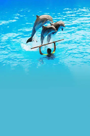 Dubai Dolphinarium