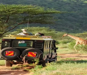 Activities to Experience in Kenya