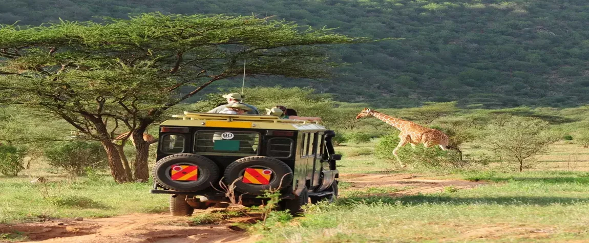 Activities to Experience in Kenya