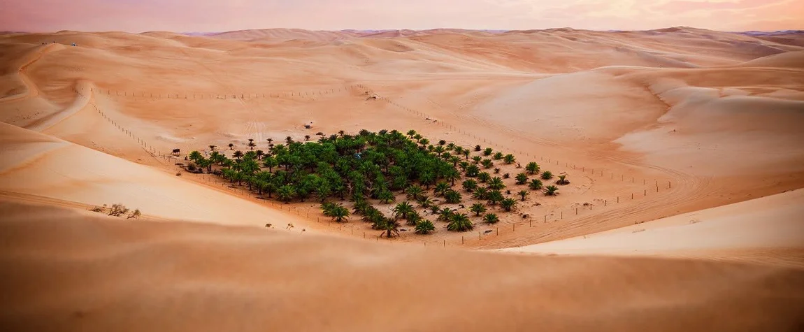 Things to Do in Liwa Oasis, Abu Dhabi