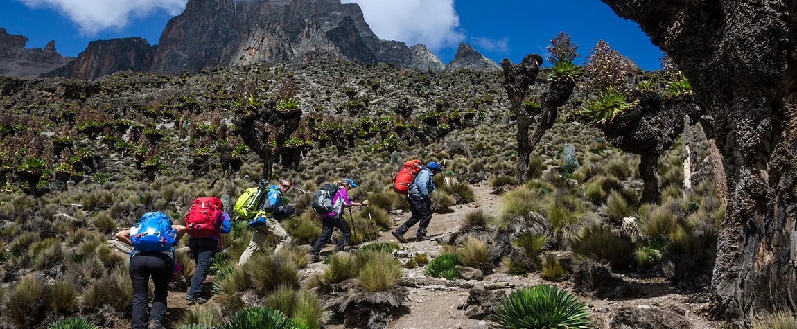 Climb Mount Kenya