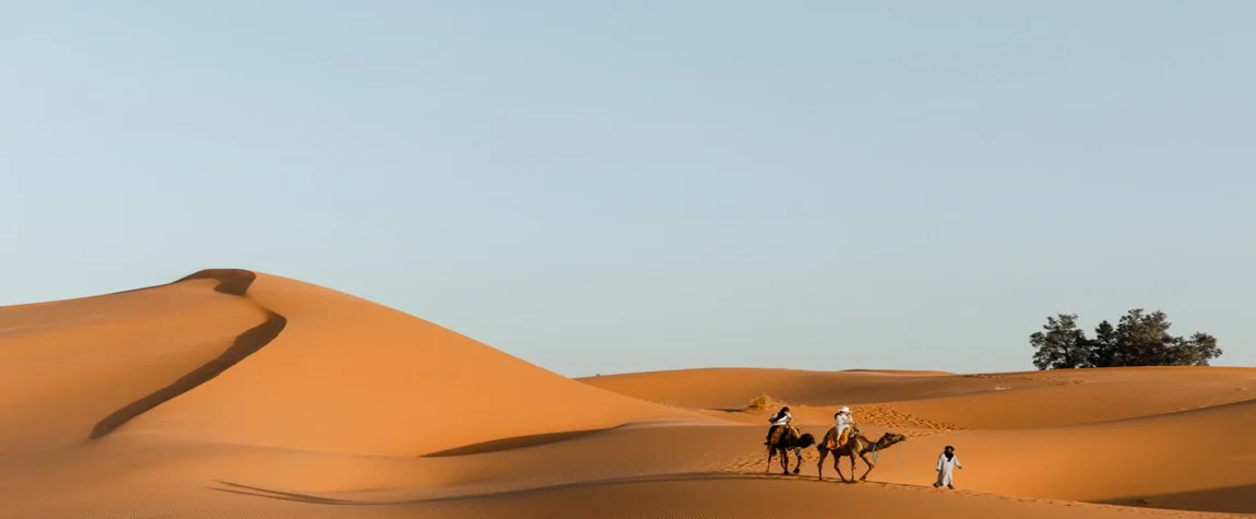 Experience the Sahara Desert