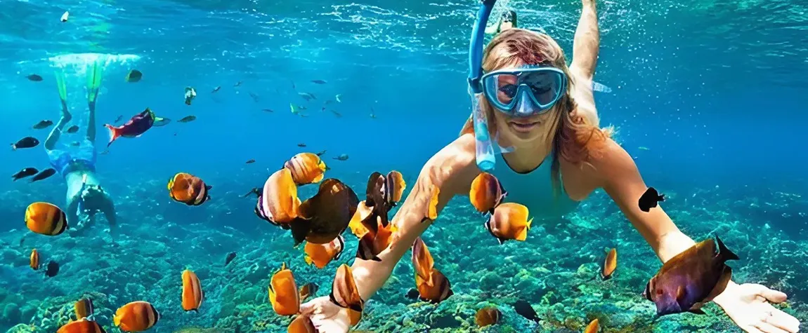 Go Snorkeling in Mnemba Atoll