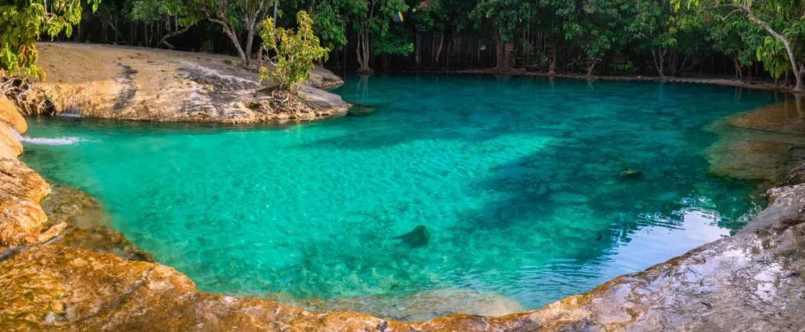 Emerald Pool and Hot Springs