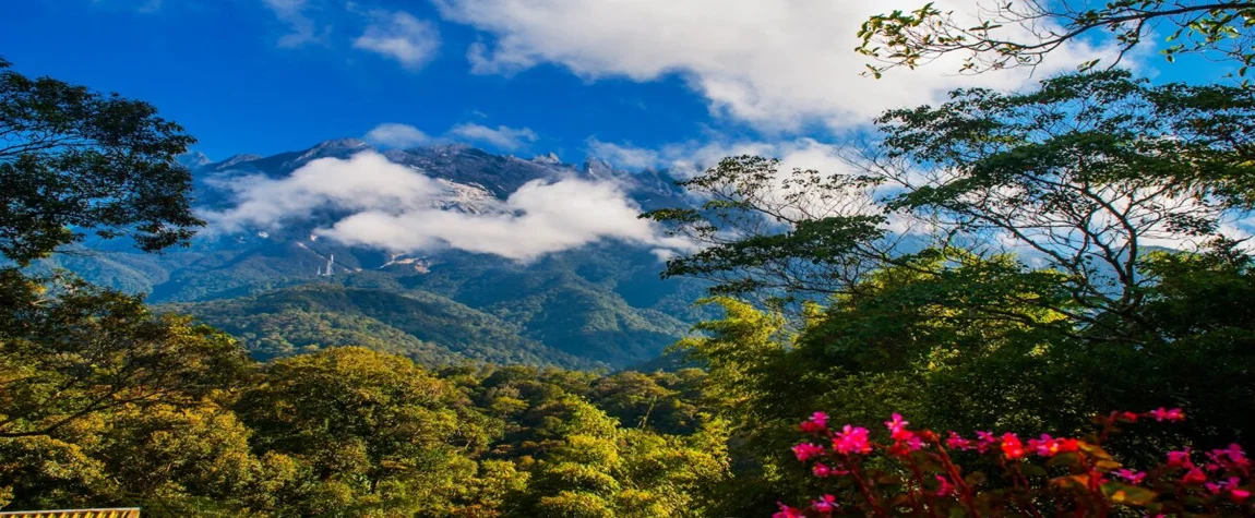 Discover the UNESCO site of Kinabalu Park in Sabah