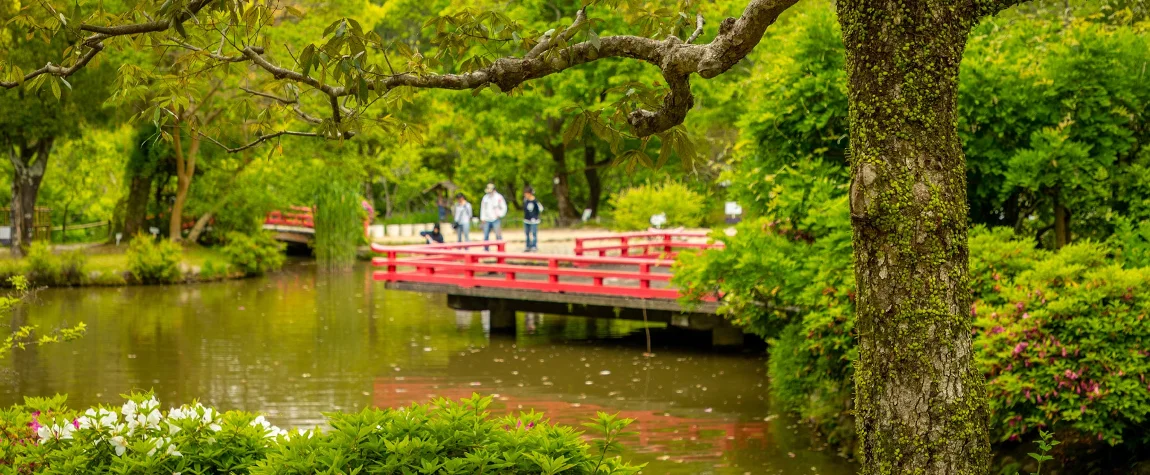 Find out more about the beautiful gardens of Nara