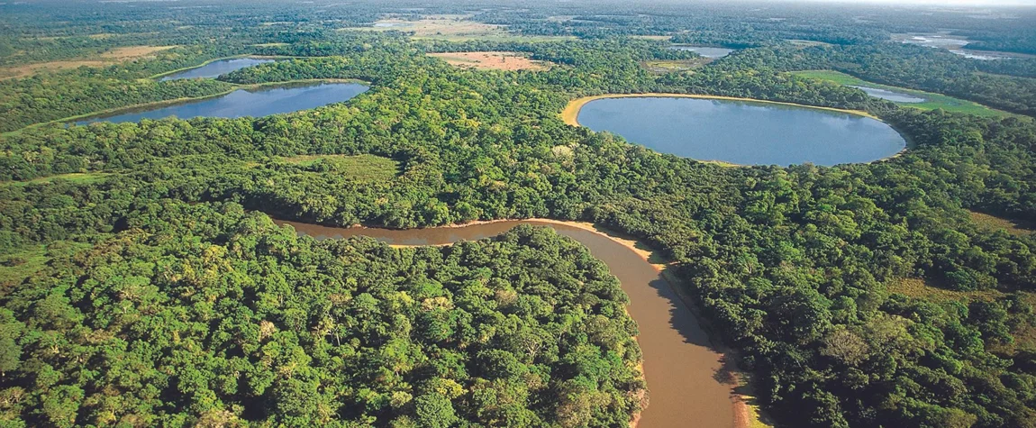 Visit the Pantanal Wetlands