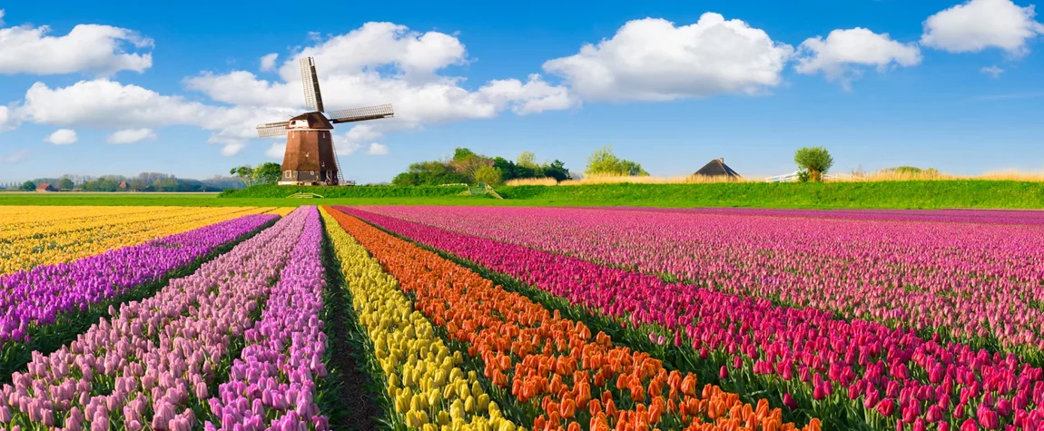 8. Netherlands Culture and Easy-Going Travel