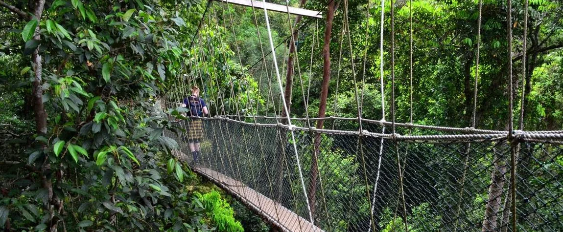 Taman Negara National Park