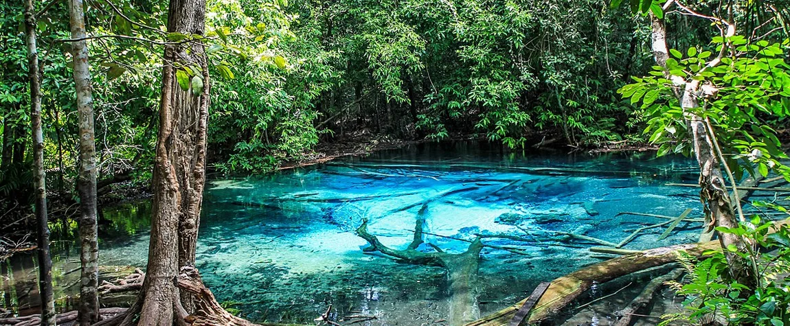 Khao Phanom Bencha National Park