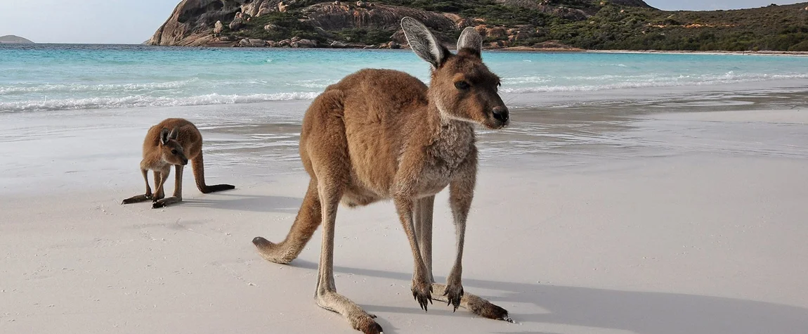 Kangaroo Island (South Australia)