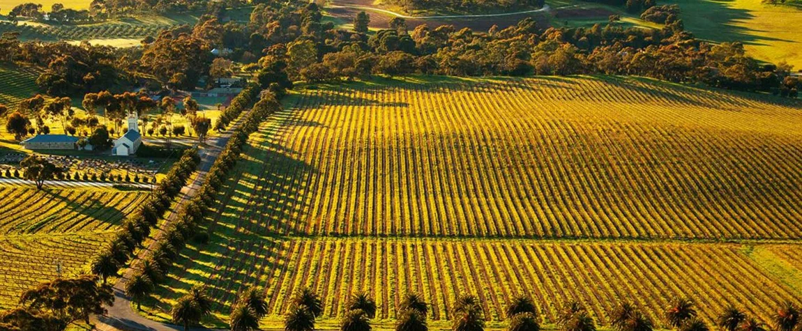 Barossa Valley (South Australia)