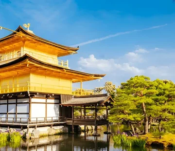 Activities to Do in Japan