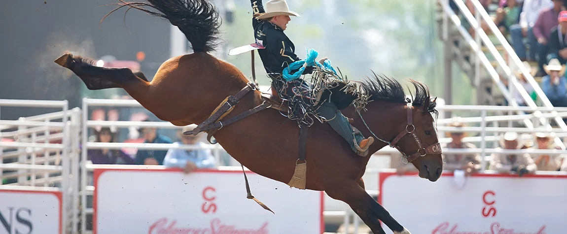 Attend the Calgary Stampede