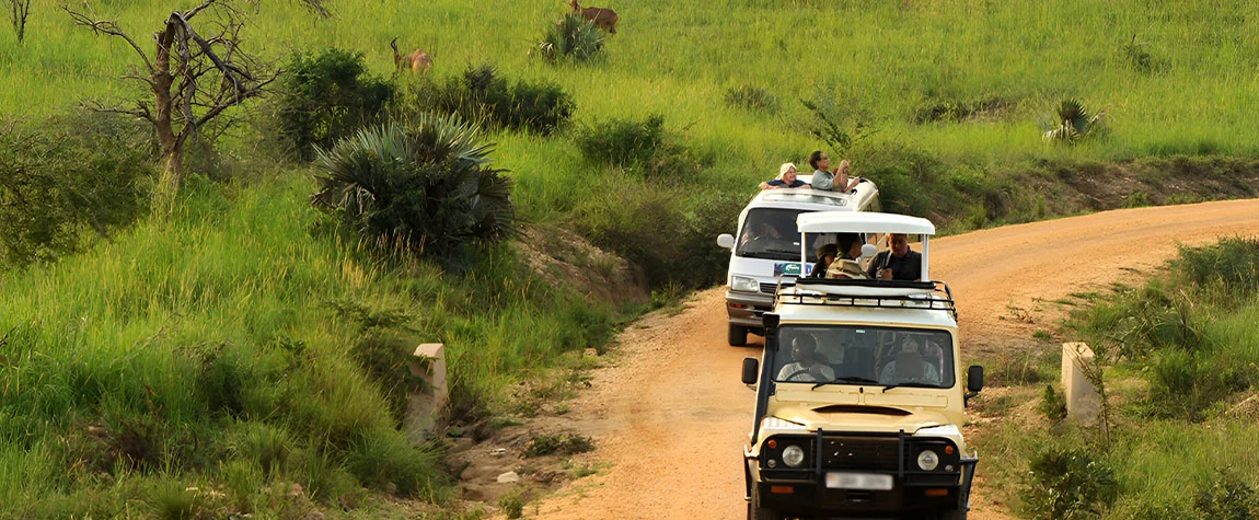 Activities to do in Uganda