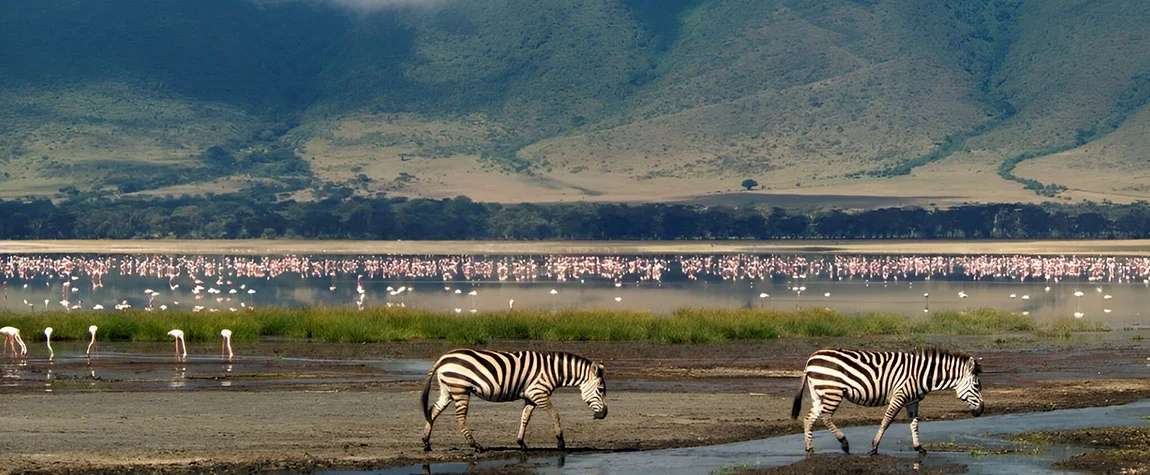 Explore the Ngorongoro Crater