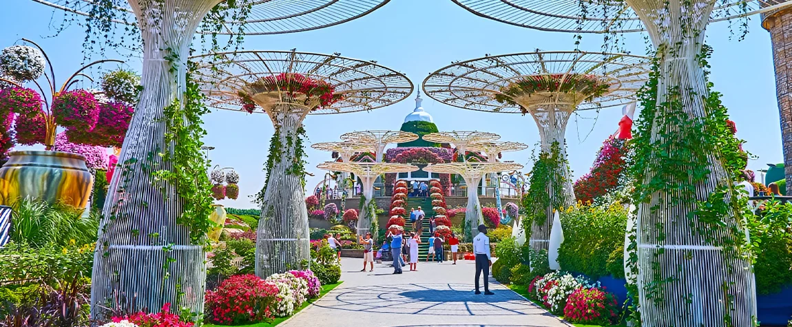 Floral Attractions at Dubai Flower Garden