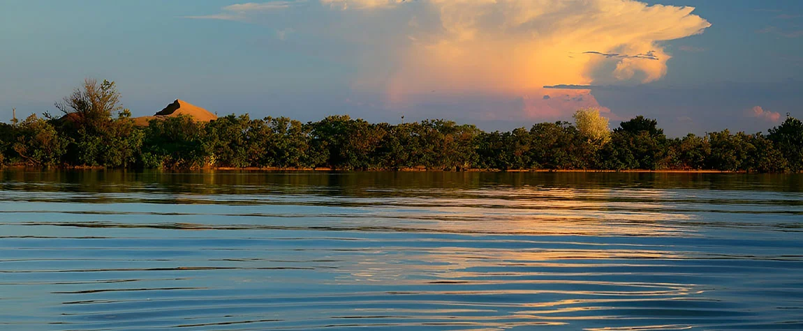 Experience the Natural Beauty of the Danube Delta