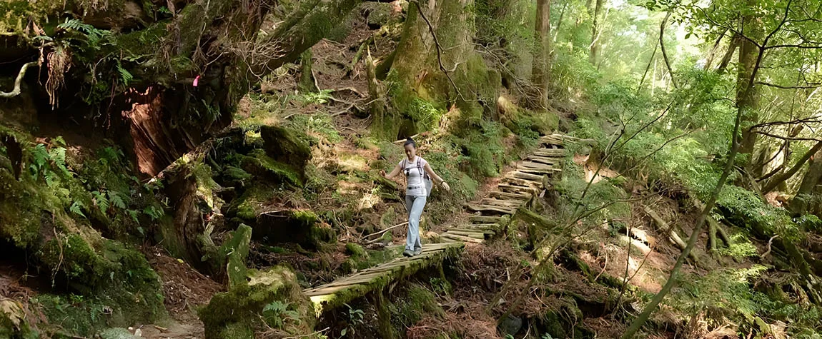 Hike the Sacred Trails of Yakushima